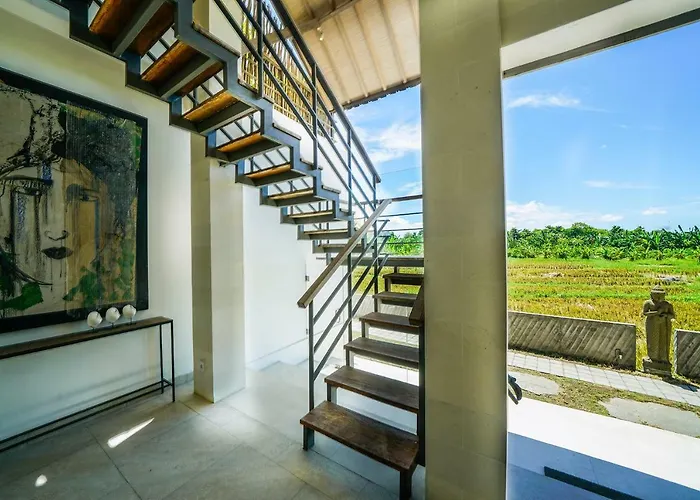 Abaca